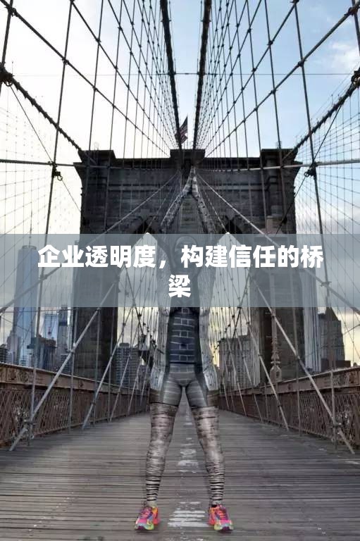 企業(yè)透明度，構(gòu)建信任的橋梁