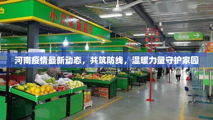 河南疫情最新動態(tài)，共筑防線，溫暖力量守護家園