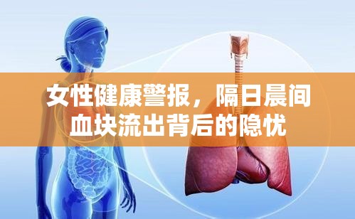 女性健康警報，隔日晨間血塊流出背后的隱憂