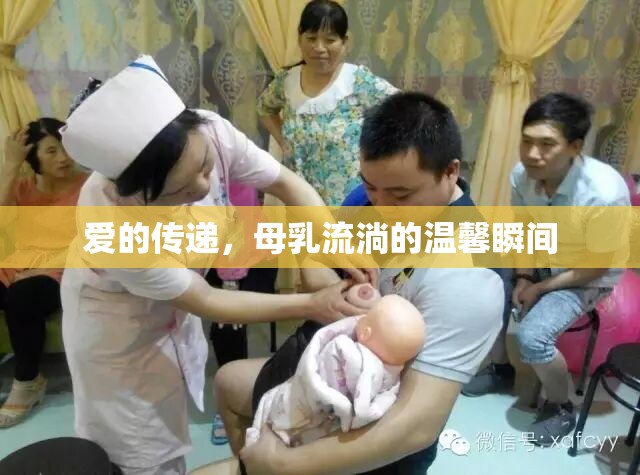 愛的傳遞，母乳流淌的溫馨瞬間