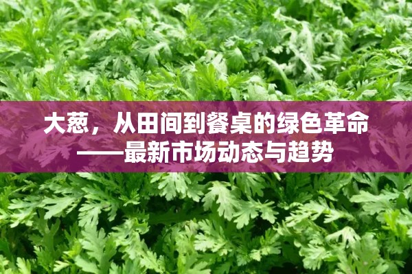 大蔥，從田間到餐桌的綠色革命——最新市場(chǎng)動(dòng)態(tài)與趨勢(shì)