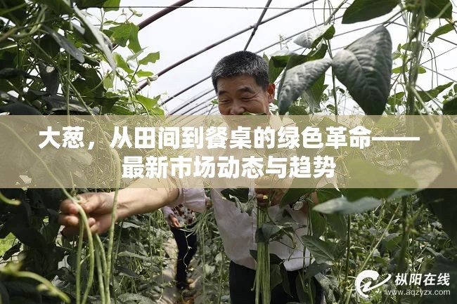 大蔥，從田間到餐桌的綠色革命——最新市場(chǎng)動(dòng)態(tài)與趨勢(shì)