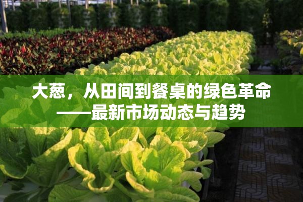 大蔥，從田間到餐桌的綠色革命——最新市場(chǎng)動(dòng)態(tài)與趨勢(shì)