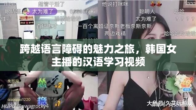 跨越語(yǔ)言障礙的魅力之旅，韓國(guó)女主播的漢語(yǔ)學(xué)習(xí)視頻