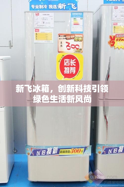 新飛冰箱，創(chuàng)新科技引領(lǐng)綠色生活新風(fēng)尚