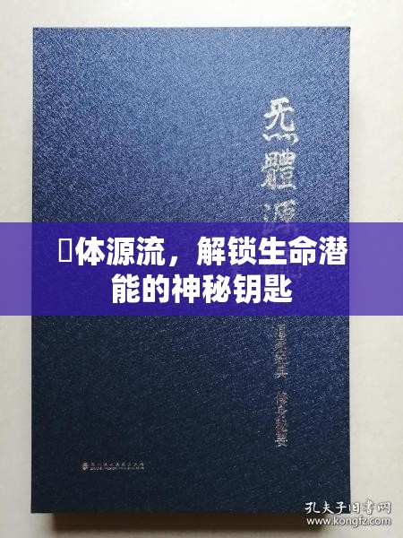炁體源流，解鎖生命潛能的神秘鑰匙