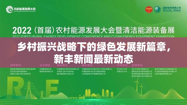 鄉(xiāng)村振興戰(zhàn)略下的綠色發(fā)展新篇章，新豐新聞最新動(dòng)態(tài)