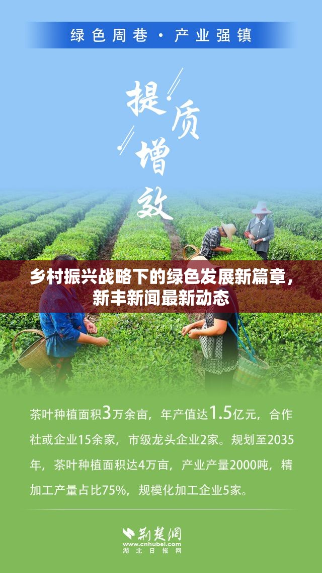 鄉(xiāng)村振興戰(zhàn)略下的綠色發(fā)展新篇章，新豐新聞最新動(dòng)態(tài)