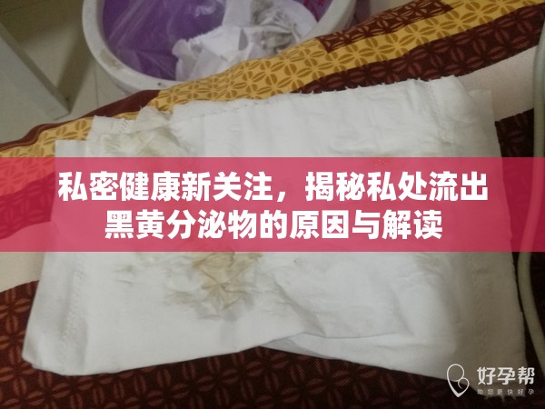 私密健康新關(guān)注，揭秘私處流出黑黃分泌物的原因與解讀