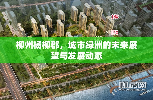 柳州楊柳郡，城市綠洲的未來(lái)展望與發(fā)展動(dòng)態(tài)