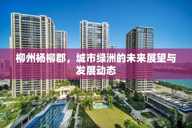 柳州楊柳郡，城市綠洲的未來(lái)展望與發(fā)展動(dòng)態(tài)