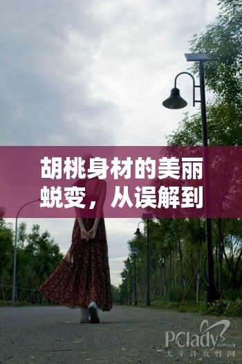 胡桃身材的美麗蛻變，從誤解到欣賞的探索之旅
