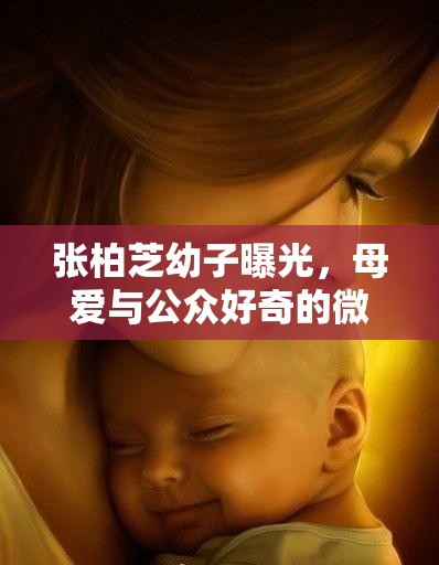 張柏芝幼子曝光，母愛與公眾好奇的微妙平衡