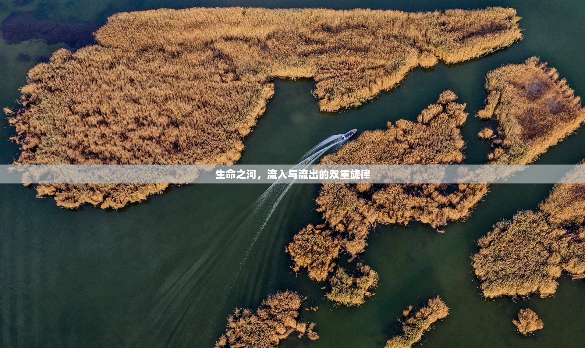 生命之河，流入與流出的雙重旋律