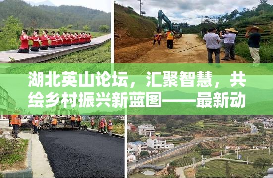 湖北英山論壇，匯聚智慧，共繪鄉(xiāng)村振興新藍圖——最新動態(tài)與影響探析