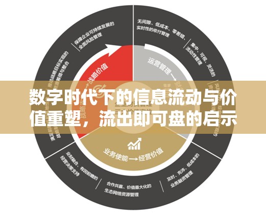數(shù)字時代下的信息流動與價值重塑，流出即可盤的啟示