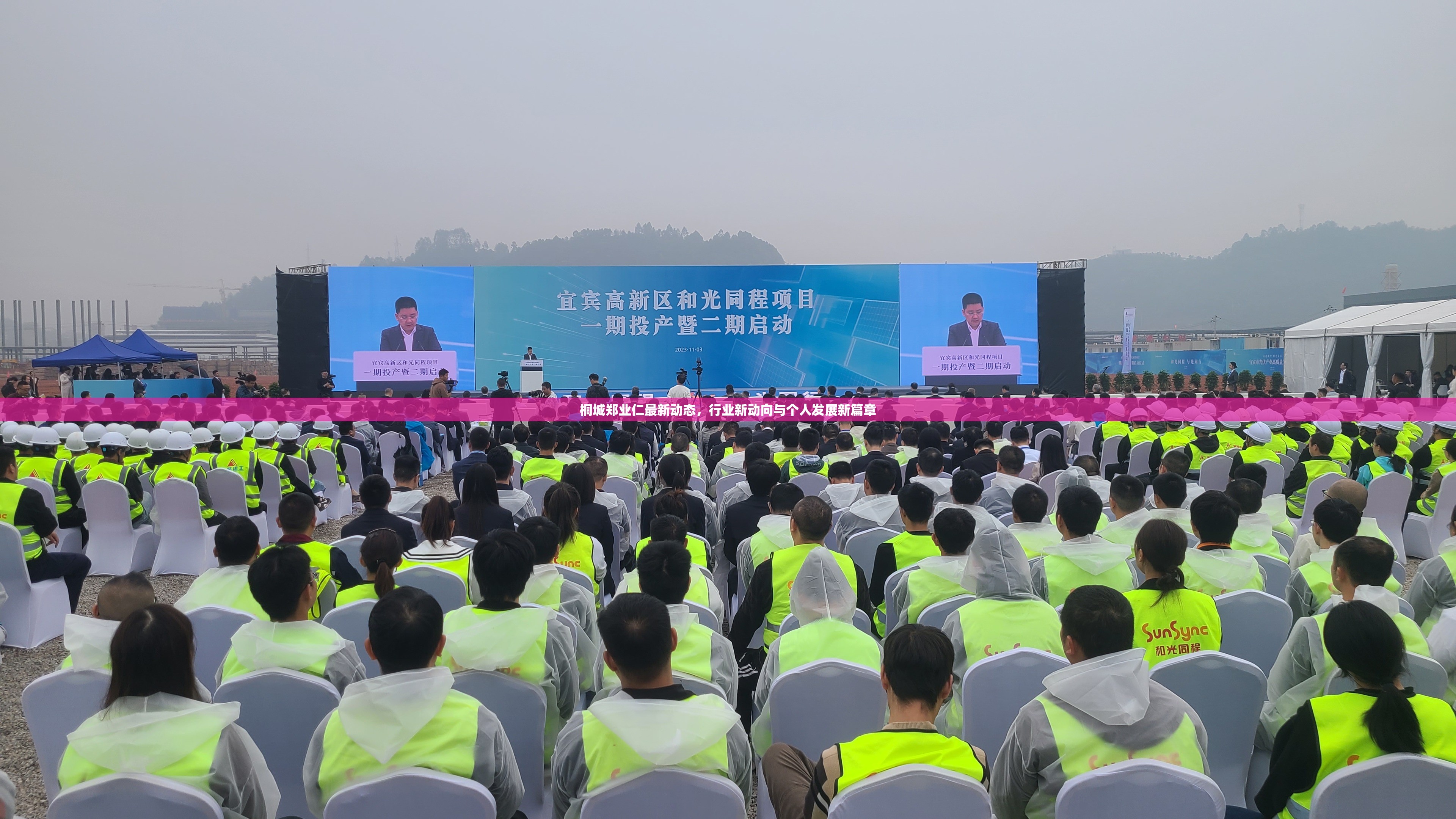 桐城鄭業(yè)仁最新動(dòng)態(tài)，行業(yè)新動(dòng)向與個(gè)人發(fā)展新篇章
