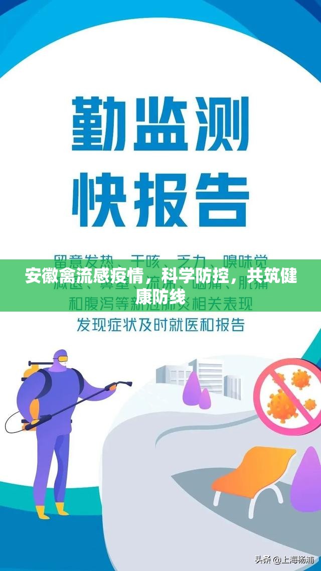 安徽禽流感疫情，科學(xué)防控，共筑健康防線