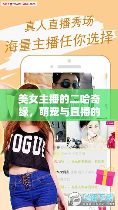美女主播的二哈奇緣，萌寵與直播的雙重魅力