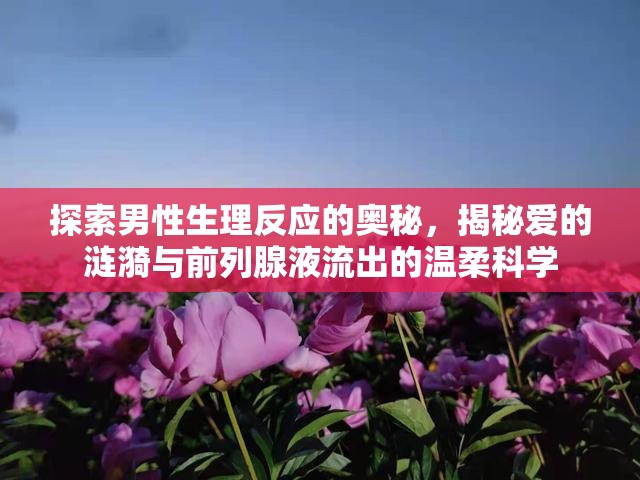 探索男性生理反應(yīng)的奧秘，揭秘愛的漣漪與前列腺液流出的溫柔科學(xué)