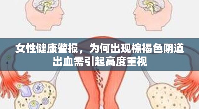 女性健康警報，為何出現(xiàn)棕褐色陰道出血需引起高度重視