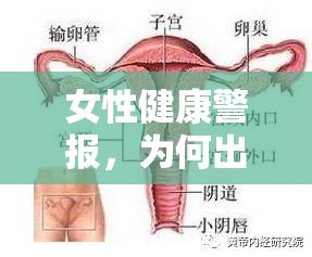 女性健康警報，為何出現(xiàn)棕褐色陰道出血需引起高度重視