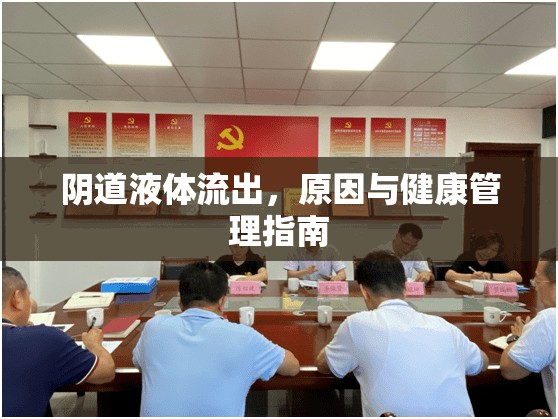 陰道液體流出，原因與健康管理指南