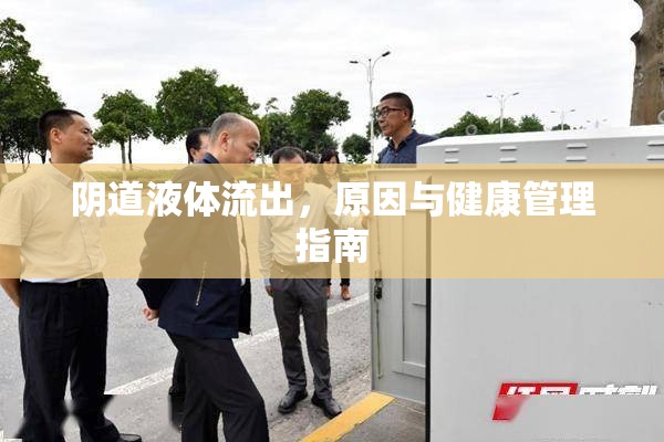 陰道液體流出，原因與健康管理指南