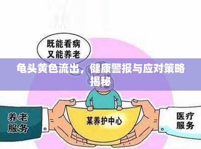 龜頭黃色流出，健康警報(bào)與應(yīng)對(duì)策略揭秘
