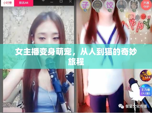 女主播變身萌寵，從人到貓的奇妙旅程