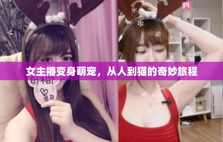 女主播變身萌寵，從人到貓的奇妙旅程