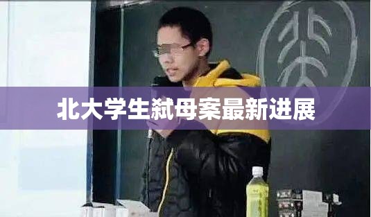北大學(xué)生弒母案最新進展