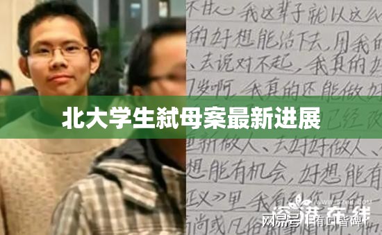 北大學(xué)生弒母案最新進展