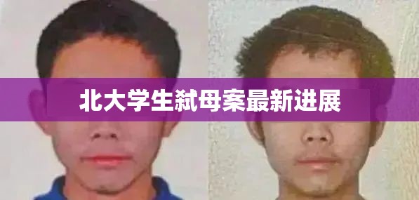 北大學(xué)生弒母案最新進展