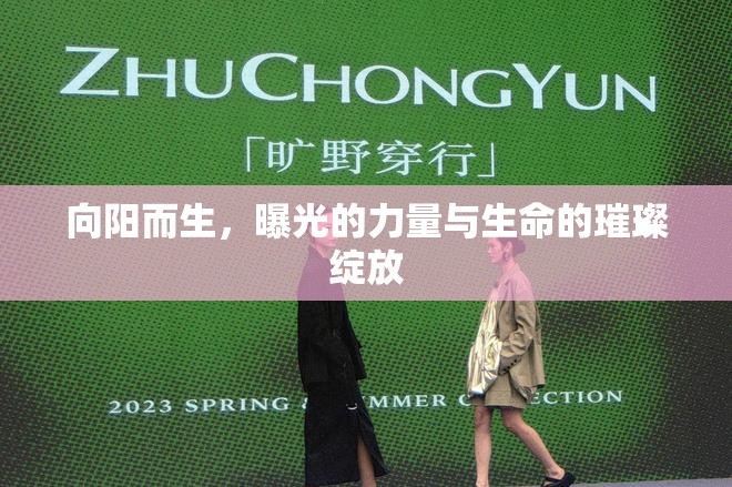 向陽而生，曝光的力量與生命的璀璨綻放