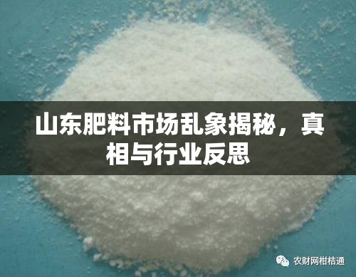 山東肥料市場亂象揭秘，真相與行業(yè)反思
