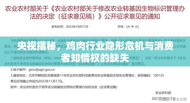 央視揭秘，雞肉行業(yè)隱形危機(jī)與消費(fèi)者知情權(quán)的缺失