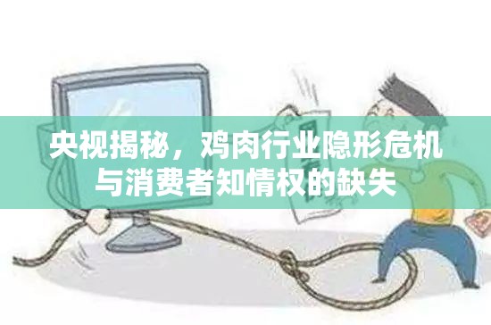 央視揭秘，雞肉行業(yè)隱形危機(jī)與消費(fèi)者知情權(quán)的缺失