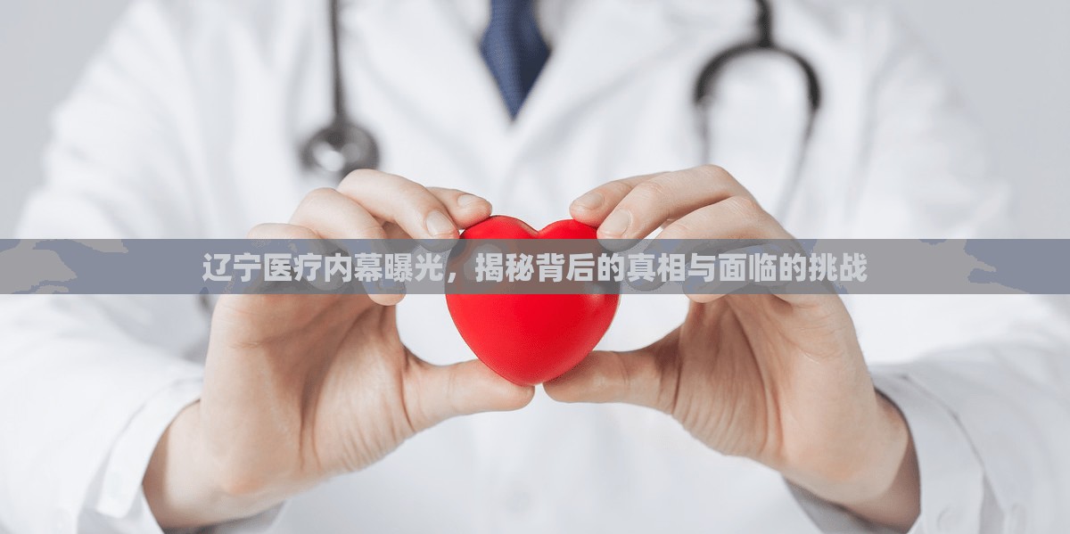 遼寧醫(yī)療內(nèi)幕曝光，揭秘背后的真相與面臨的挑戰(zhàn)