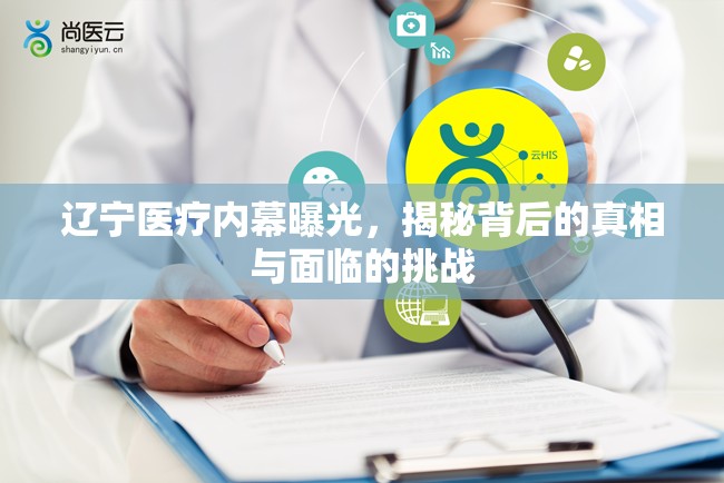 遼寧醫(yī)療內(nèi)幕曝光，揭秘背后的真相與面臨的挑戰(zhàn)