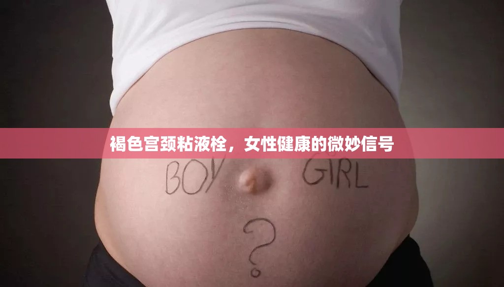 褐色宮頸粘液栓，女性健康的微妙信號