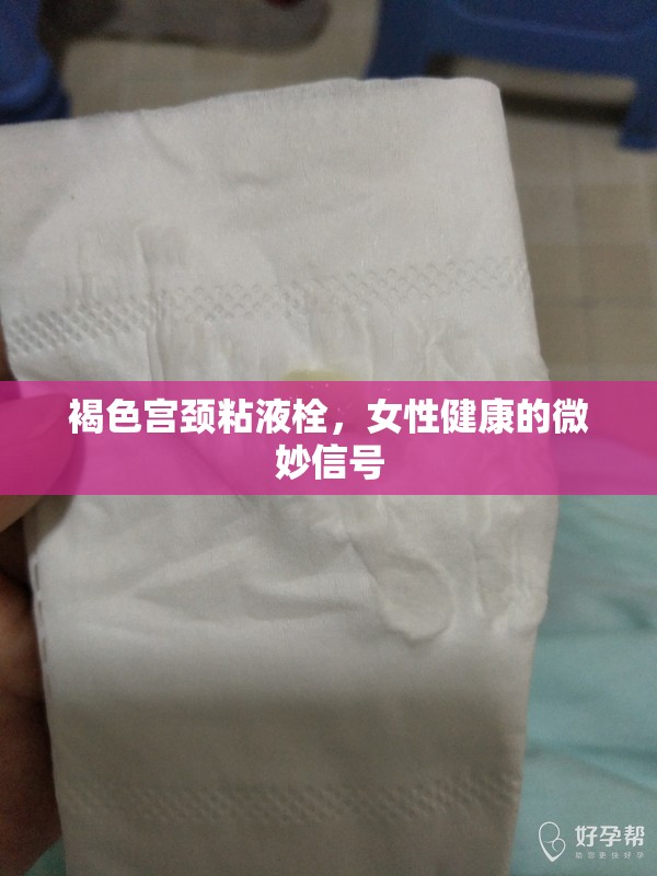 褐色宮頸粘液栓，女性健康的微妙信號