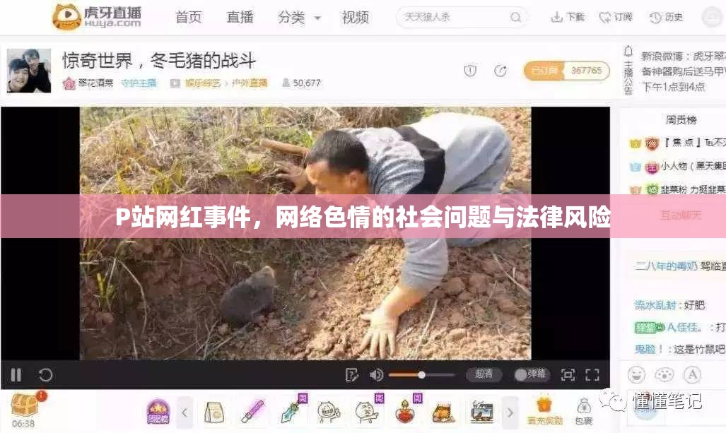 P站網(wǎng)紅事件，網(wǎng)絡色情的社會問題與法律風險