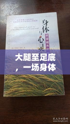 大腿至足底，一場(chǎng)身體與心靈的微妙熱流對(duì)話