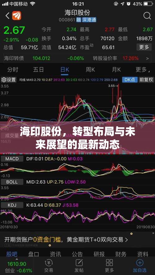 海印股份，轉(zhuǎn)型布局與未來展望的最新動(dòng)態(tài)