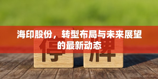 海印股份，轉(zhuǎn)型布局與未來展望的最新動(dòng)態(tài)