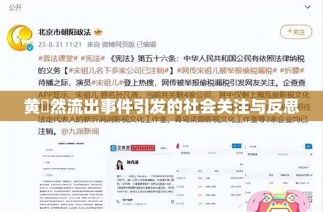 黃楽然流出事件引發(fā)的社會(huì)關(guān)注與反思