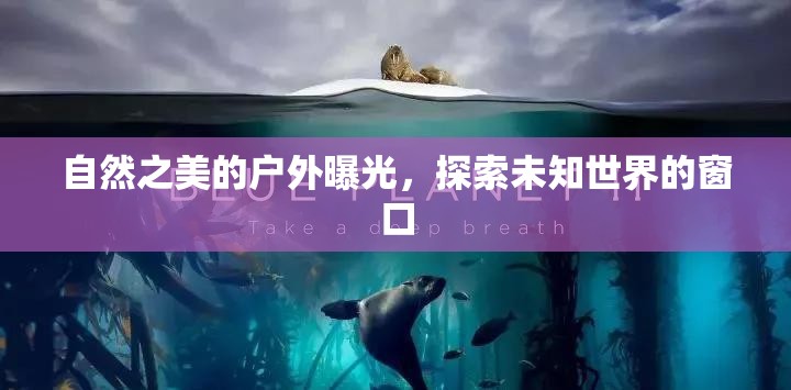 自然之美的戶外曝光，探索未知世界的窗口