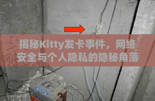 揭秘Kitty發(fā)卡事件，網(wǎng)絡(luò)安全與個(gè)人隱私的隱秘角落