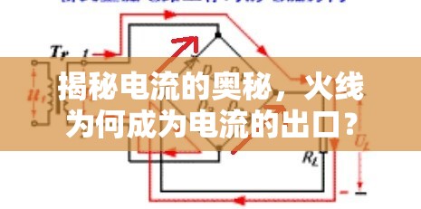 揭秘電流的奧秘，火線為何成為電流的出口？